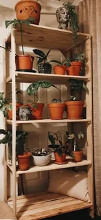 Modular Pine  Shelving
