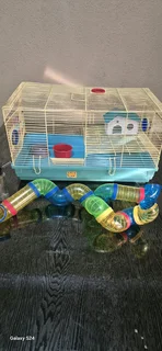 Complete hamster cage with house, water bottles, food, bedding