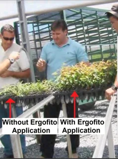 Garden Combo Bio Fert for a garden of 400m/2. We manufacture export 90% of our products from SA glob