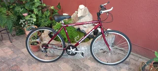 Avalanche Reflex 26&#34; bicycle with Shimano twist gear shifter