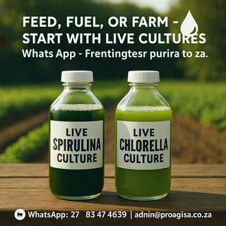 Whether you are producing high-protein animal feed, exploring biofuels Spirulina &amp; Chlorella