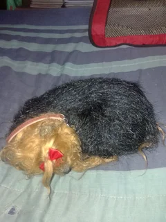 Perfect Petzzz Yorkie stuff animal