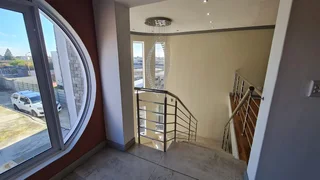 Professional Building Contractor