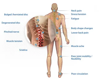 Back Therapy Inversion table.