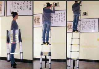 2.6m Telescopic ladder.