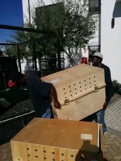 Same day December Movers. Call Yourek for a quote.0842914665