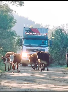 Shipping Containers (Cpt10)