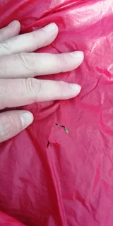 Airush DNA Kites 6M and 8M