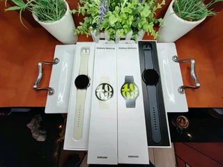 Samsung Galaxy Watch 6 Graphite And Gold