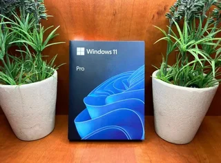 Microsoft Windows 11 Pro