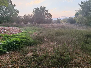 2.1 Ha Development Plot