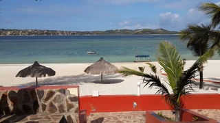 Secure Travel - MSA- South Africa Security Solutions