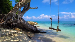 Secure Travel - MSA- South Africa Security Solutions