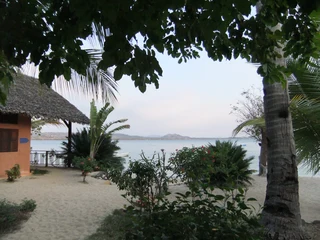 Secure Travel - MSA- South Africa Security Solutions