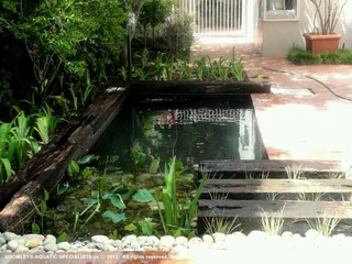 KOI PONDS - WATER FEATURES - MAINTENANCE - WATERPROOFING - KOI IMPORTS - FISH HEALTH