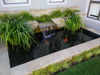 KOI PONDS - WATER FEATURES - MAINTENANCE - WATERPROOFING - KOI IMPORTS - FISH HEALTH