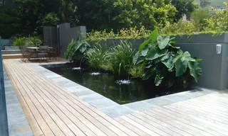 KOI PONDS - WATER FEATURES - MAINTENANCE - WATERPROOFING - KOI IMPORTS - FISH HEALTH