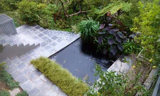 KOI PONDS - WATER FEATURES - MAINTENANCE - WATERPROOFING - KOI IMPORTS - FISH HEALTH