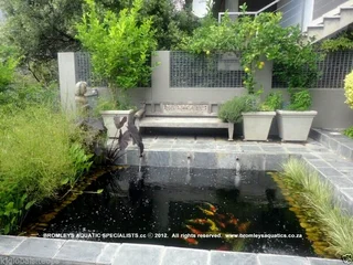 KOI PONDS - WATER FEATURES - MAINTENANCE - WATERPROOFING - KOI IMPORTS - FISH HEALTH