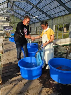 KOI PONDS - WATER FEATURES - MAINTENANCE - WATERPROOFING - KOI IMPORTS - FISH HEALTH