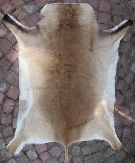 Game Buck Hide / Skin 1.5