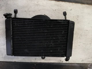 Yamaha Yzf 600 Thundercat Radiator And Water Bottle