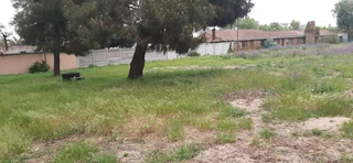 JOOSTENBERGVLAKTE - N1 - SMALLHOLDING