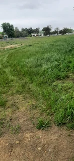 JOOSTENBERGVLAKTE - N1 - SMALLHOLDING