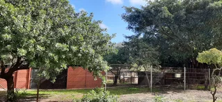 SMALLHOLDING - PHILADELPHIA -Prime position