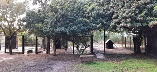 SMALLHOLDING - PHILADELPHIA -Prime position