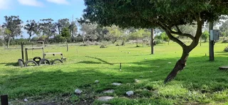 SMALLHOLDING - PHILADELPHIA -Prime position