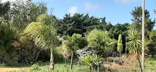 SMALLHOLDING - PHILADELPHIA -Prime position