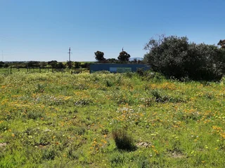 Smallholding -mikpunt Klipheuwel - 4789m2