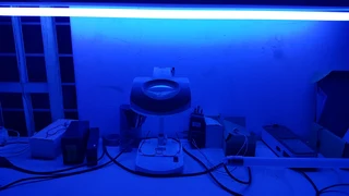 Super Colour Florescent Light Tubes 4ft New