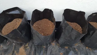 Nursery Plant Bags for Planting Plants Growing Bag New