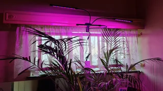 Plant Growing LED Lights Energy Efficient New