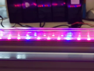 Plant Growing LED Lights Energy Efficient New