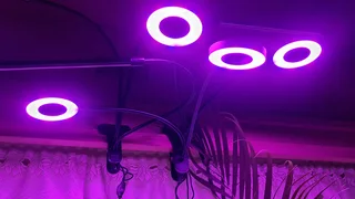 Plant Growing LED Lights Energy Efficient New