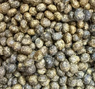 rabbit manure- gold for your garden