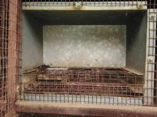 Metal bird feeders for parrots, parakeets, conures etc