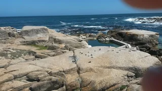 Pet Friendly Holiday Home