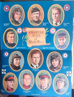 Von Richthofen &amp; the Flying Circus book