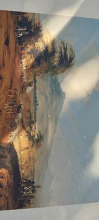 Thomas Baines numbered prints