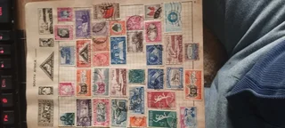 Fancy Xmas gifts for your family and very well priced