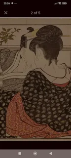 Art paintings and fancy framed prints