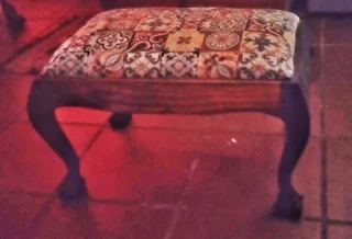 Art paintings and fancy framed prints