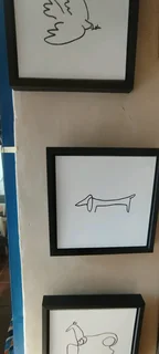 Art paintings and fancy framed prints