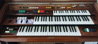 Can you play a Yamaha electric organ