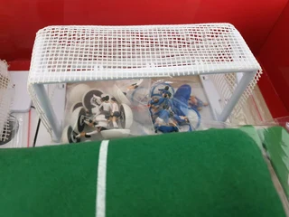 Subbuteo Special Collectors Edition With Extras