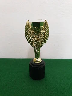Subbuteo World Cup Jules Rimet Trophy